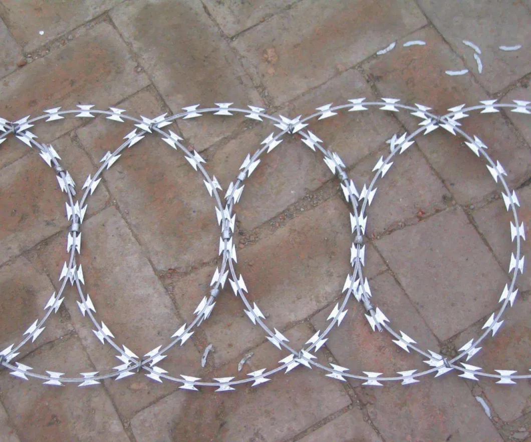 Military Use Stainless Steel Concertina Razor Barbed Wire BTO-22 CBT-65