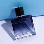 50ml Perfume Bottle Glass Bottle with zamak plastic Magnet Cap, Press Type Spray