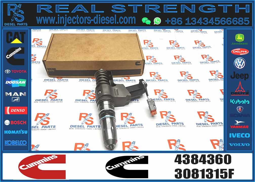 High Quality 4384360 Common Rail Injector 4384360 Auto Parts Injector