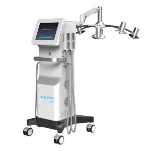 Wholesale 800W Power Cryolipolysis lipolaser slimming beauty machine EMS Frequency 2-100Hz from china suppliers