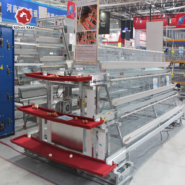 A Type Chicken Hot Galvanized Battery Cage System Silver Color