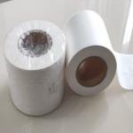 HDPE LDPE Pe Film Blowing Machine Extrusion Shopping Bag