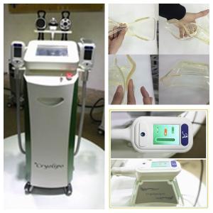 Wholesale 4 Cryo Handles Fat Freezing Machine / Cryotherapy Weight Loss Machine / Slim Freeze Belt from china suppliers