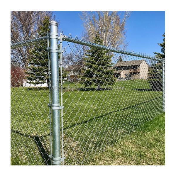 Galvanized PVC Coated Low Carbon Steel Wire Chain Link Fence for Farming in 50ft Roll