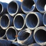 5.5mm Galvanized Steel Wire Rope Nylon PA12 Coated Galvanized Iron Wire