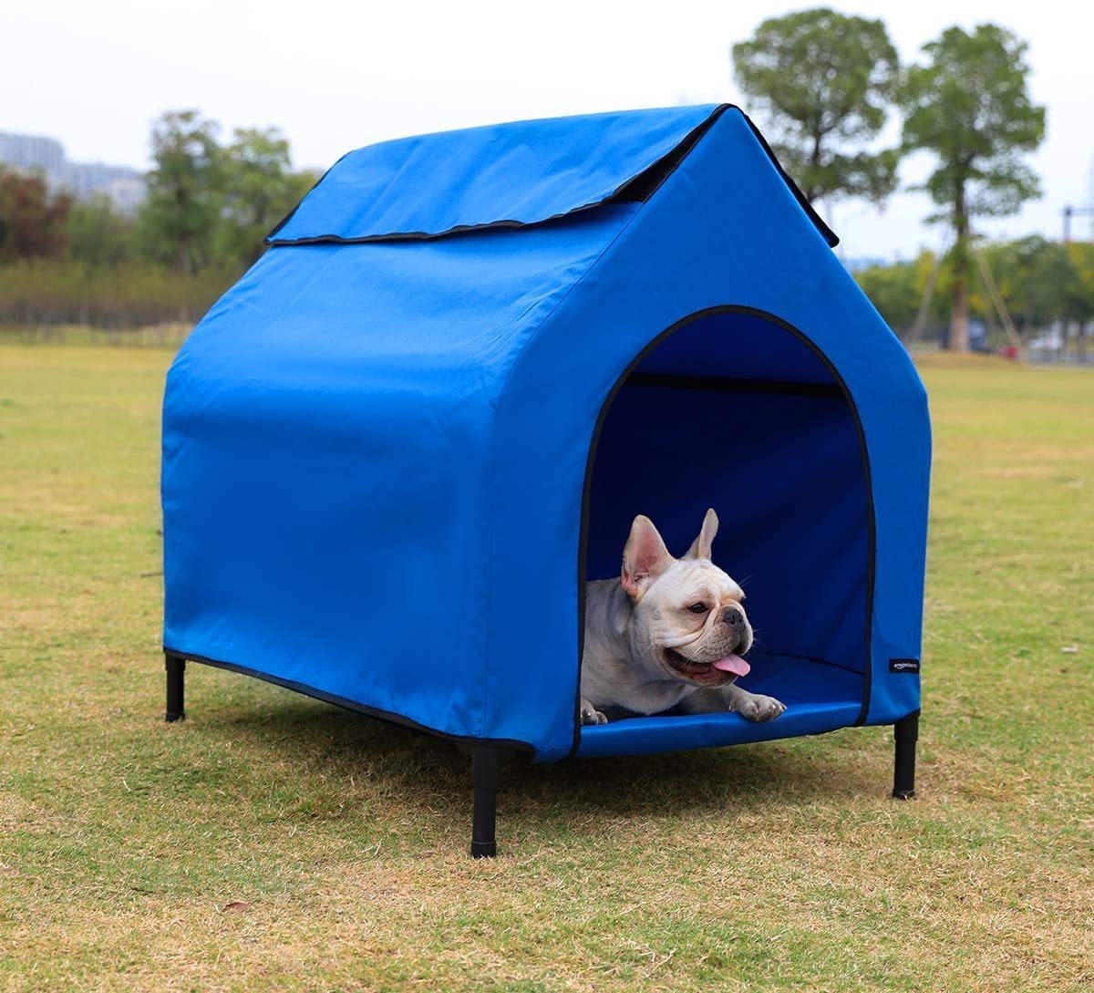 high dog bed