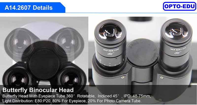 Opto Edu A14.2607 Inverted Scope Transmit Light Semi APO Binocular LED