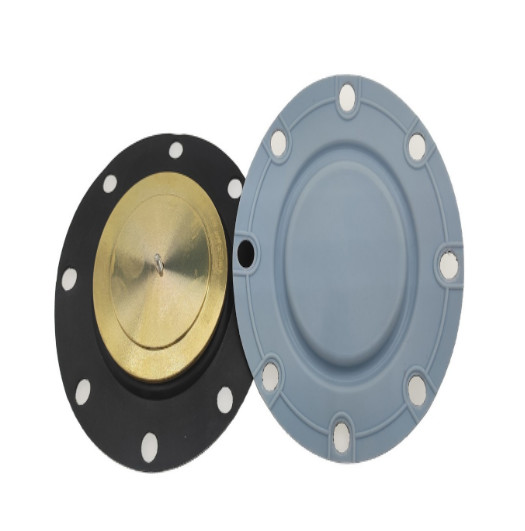 DN8 DN200 Plunger Valve Pump Metering Pump Fit Diaphragm PTFE EPDM