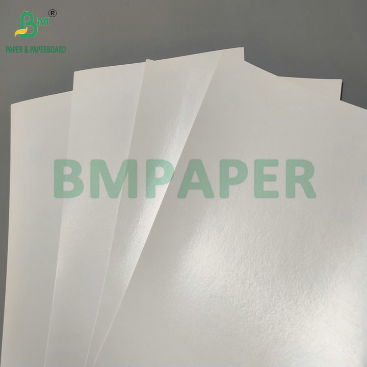 Smooth Surface 290gsm + 15gsm PE SBS Cardboard For Frozen Packaging Box