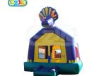 Triceratops Jumper Bounce House / Commercial Jumping Castle Waterproof