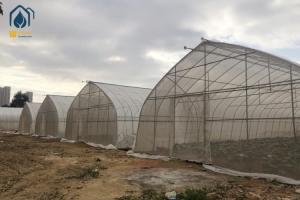 Wholesale PE PO Film Tunnel Greenhouse Commercial Agricultural Greenhouse Customizable from china suppliers