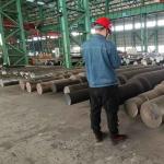 UNS S11100 Steel Forging Parts