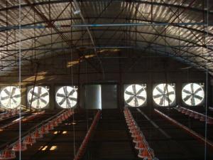 Wholesale Greenhouse Exhaust Fan from china suppliers