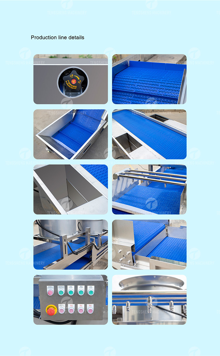 1500KG/H Orange Selection Fruit And Vegetable Processing Line