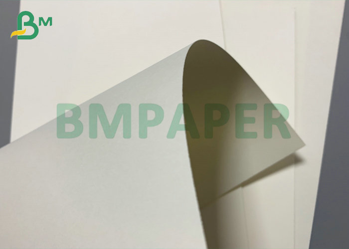 1S PE 260gsm Cup Stock Paper 240gsm + 20PE For Drinks Cup 886mm Jumbo Roll 