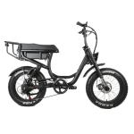 Aluminum Alloy 6061 Frame 2 Seat 500W 750W Off-road Step Through 20 inch Fat