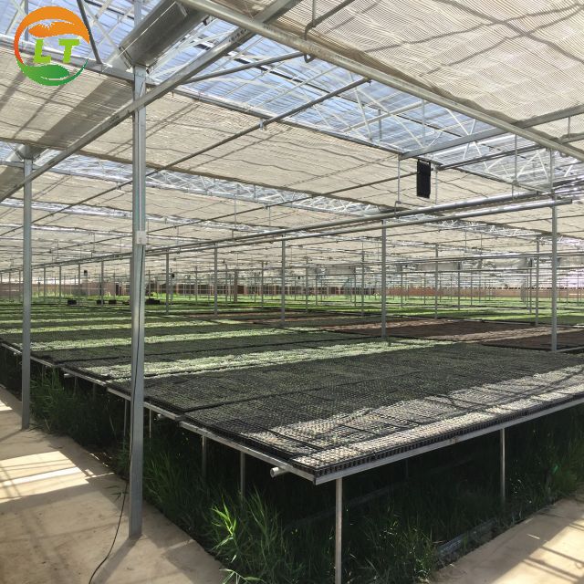 Multi-Span Agricultural Greenhouses with Hot Galvanized Steel Transparent Solar Panels