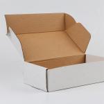 White Corrugated Shipping Boxes Custom Logo Matte Glossy Aircraft Packaging