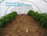 high quality PP nonwoven fabric agriculture Cover Non Woven Fabric agriculture
