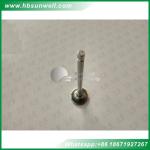 Diesel Engine Valves for cummins ISDE QSB6.7 ISF3.8 Intake valve 3940735 Exhaust