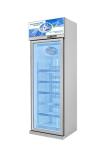 Excellent Performance Frost Free Glass Hinge Door Vertical Display Freezer