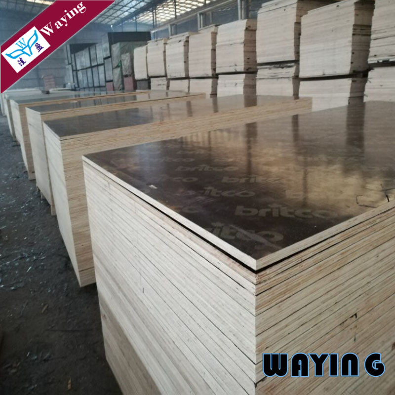 Marine 18mm Eucalyptus Core Film Faced Shuttering Plywood