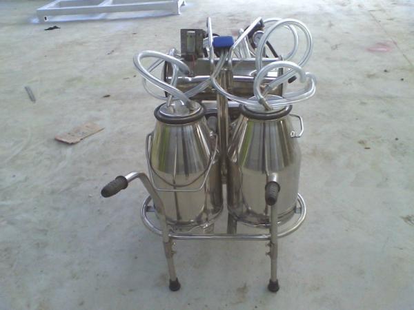 XD32WY-2 twin buckets and Oilless Vacuum pump Electric motor mobile milking