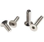 Coarse Thread Countersunk Carriage Bolts 10g for Heavy-Duty Fastening Needs