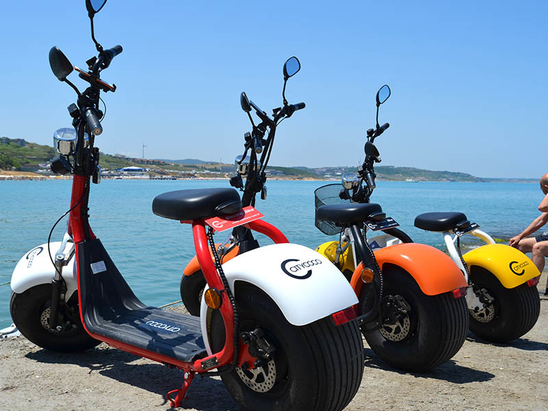 EcoRider 60V 12Ah chinese Lithium Battery Citycoco 2 Wheel Electric Scooter , 18 Inch Fat Tyre Electric Scooter