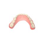 Semi Transparent Pink Biocompatible 3d Resin Light Curing Dental Resin