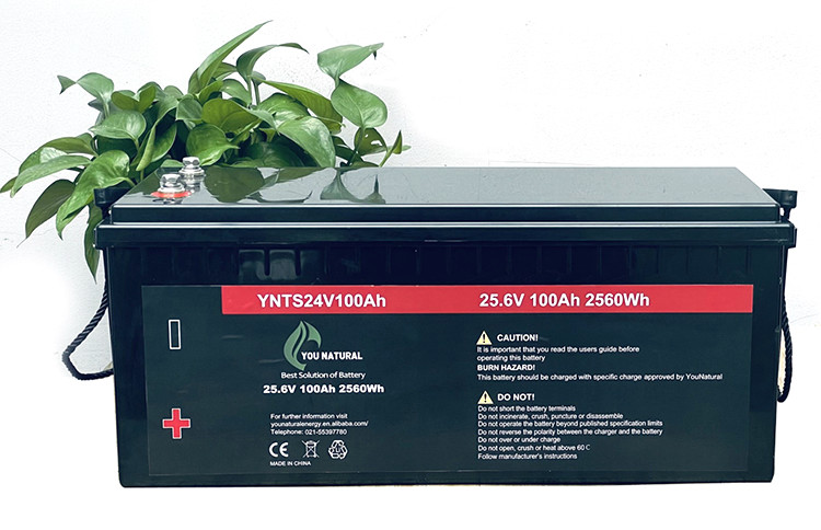 Rechargeable 24v Lifepo4 Battery Pack 100ah 200ah Lithium Lifepo4 Battery