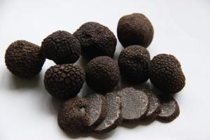Wholesale Frezen truffle from china suppliers