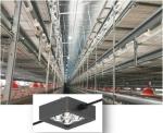 Intelligent 10W Poultry Farm Light , 120/230/240VAC Led Lights For Chicken