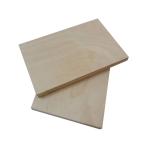 4x8 Ft 12mm 18mm Phenolic Glue Birch Faced Plywood