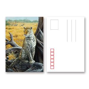 Wholesale PET/ PP Lenticular Postcard Printin 3D / Flip Effect Dinosaur Image Card from china suppliers