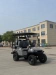 Black Cool Luxury Electric Golf Cart – An Eco-Friendly And Stylish Transportatio