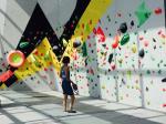 Adults Climbing Wall Rock Climbing Holds for Experienced Climbers