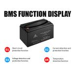 100ah 120ah Rv Camper 12v Lifepo4 Battery Overload Protection