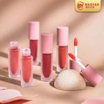 Long Wear Face Makeup Cosmetic Matte Lip Gloss Iso Certification
