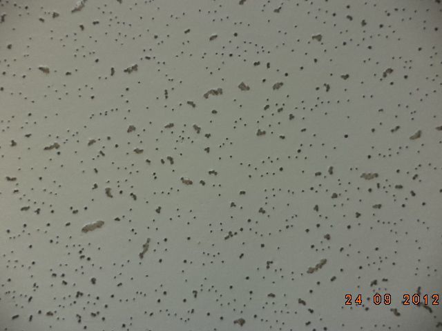 Acoustic Mineral Wool Fiber Drop Ceiling Tiles for Decorative Material