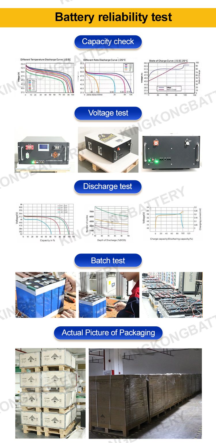 European Warehouse OEM ESS All In One 51.2V LiFePO4 Battery Pack For Batteries