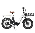 Aluminum Alloy Electric Cargo Bike 48V 750W Ebike With Front Suspension Dual