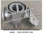 Selection criteria for marine stainless steel seawater filter A125 and marine