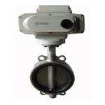 Quick Switch Water Electric Butterfly Valve Mid Pressure DN50 - DN1200