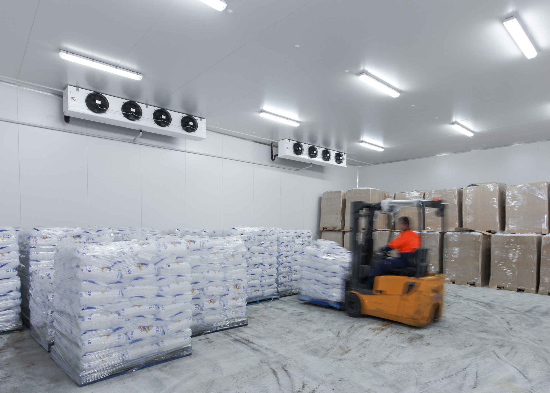 Ice Bag Cold Room Refrigerated Ice Storage Walk In Freezer