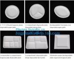 biodegradable corn starch fast food container,Biodegradable Box Corn Starch Food