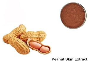 Wholesale 95% Proanthocyanidins Peanut Skin Anthocyanin Extract Powder from china suppliers
