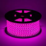 Waterproof RGB SSMD 3528 LED Strip Light Flexible Strip High Brightness Durable