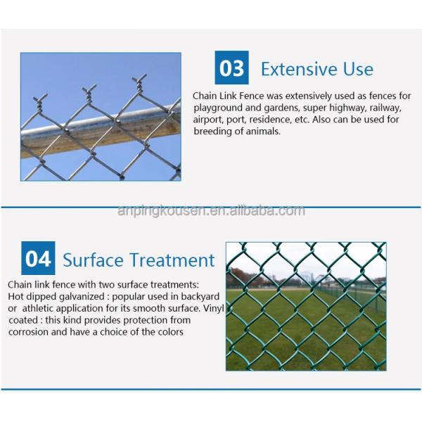 Galvanized PVC Coated Low Carbon Steel Wire Chain Link Fence for Farming in 50ft Roll