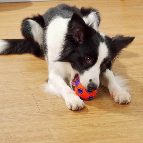 Hard Plastic Reusable PET Rubber Toy